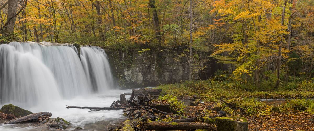 A waterfall surrounded by autumn foliage.