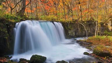 This is the biggest waterfall in the Oirase Stream. In Autumn, the stream is surrounded by autumn leaves which looks very beautiful.