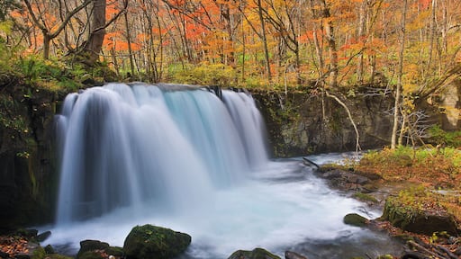 This is the biggest waterfall in the Oirase Stream. In Autumn, the stream is surrounded by autumn leaves which looks very beautiful.