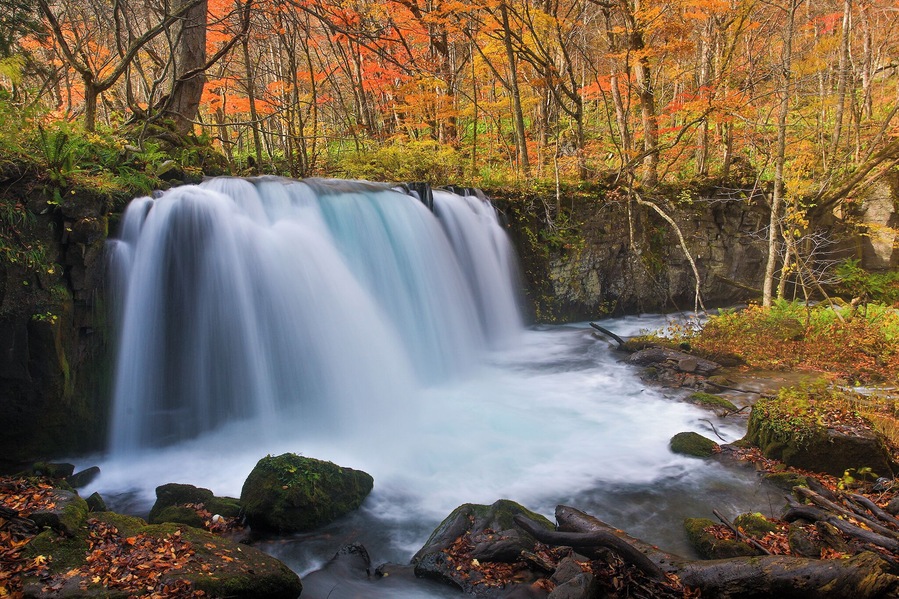 This is the biggest waterfall in the Oirase Stream. In Autumn, the stream is surrounded by autumn leaves which looks very beautiful.