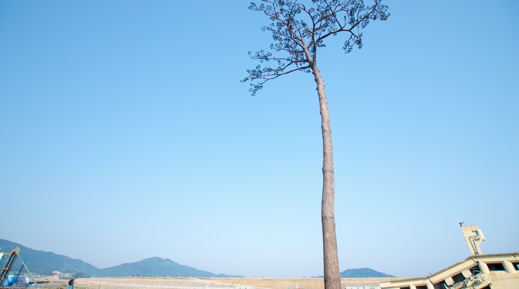 District de Motoyoshi