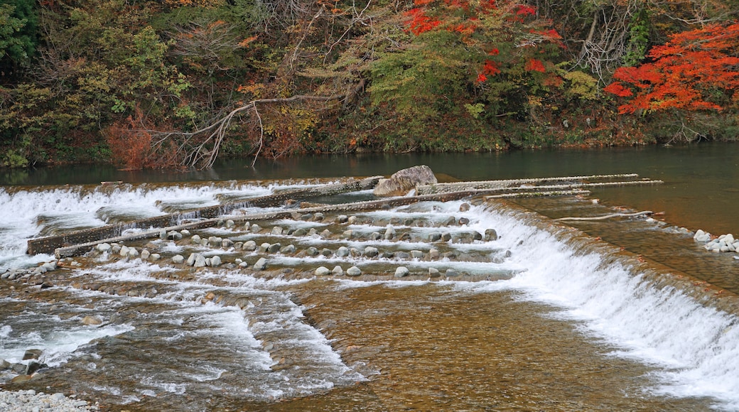 Dakigaeri Valley in autumn, Akita prefecture, Tohoku, Japan.