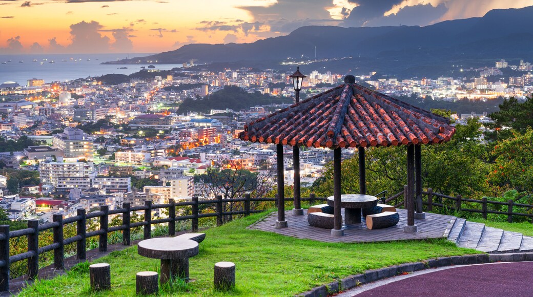 Nago, Okinawa, Japan Downtown Cityscape
