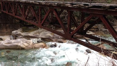 昔の森林鉄道橋