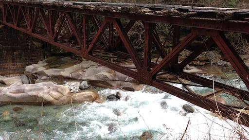 昔の森林鉄道橋