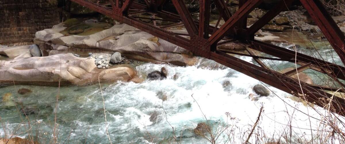 A rusted metal bridge over a fast-flowing river with rocky banks and dense forest in the background.