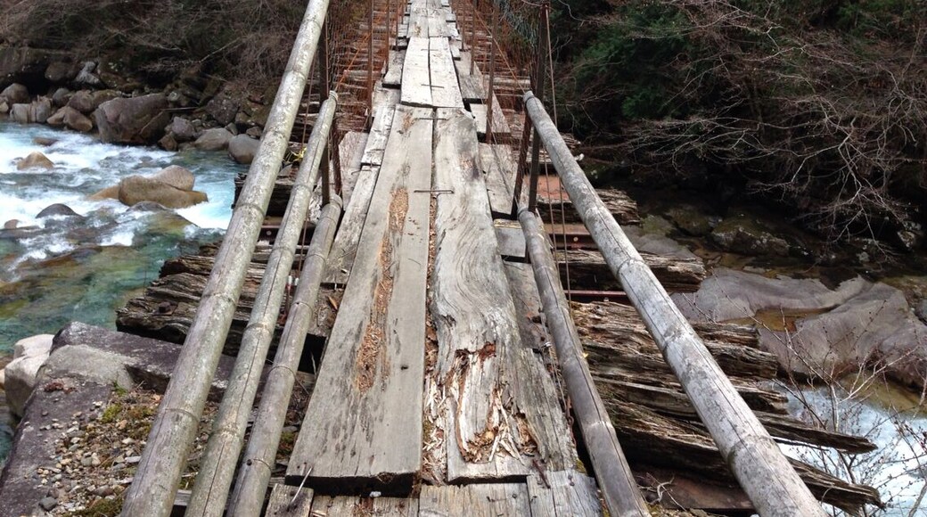 昔の森林鉄道橋