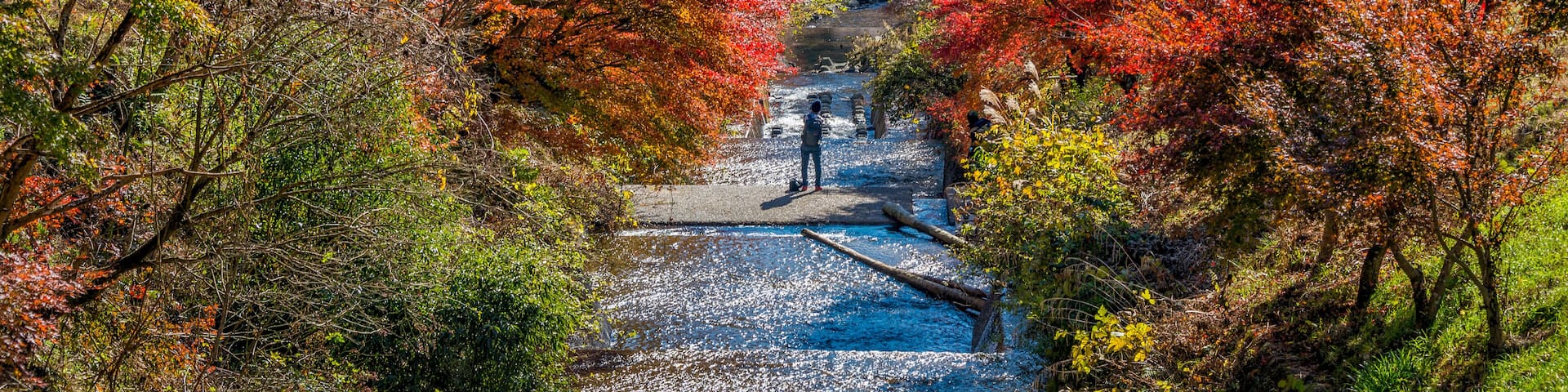 Shikizakura blossoms mixed with the beautiful autumn colour leave at Obara village.