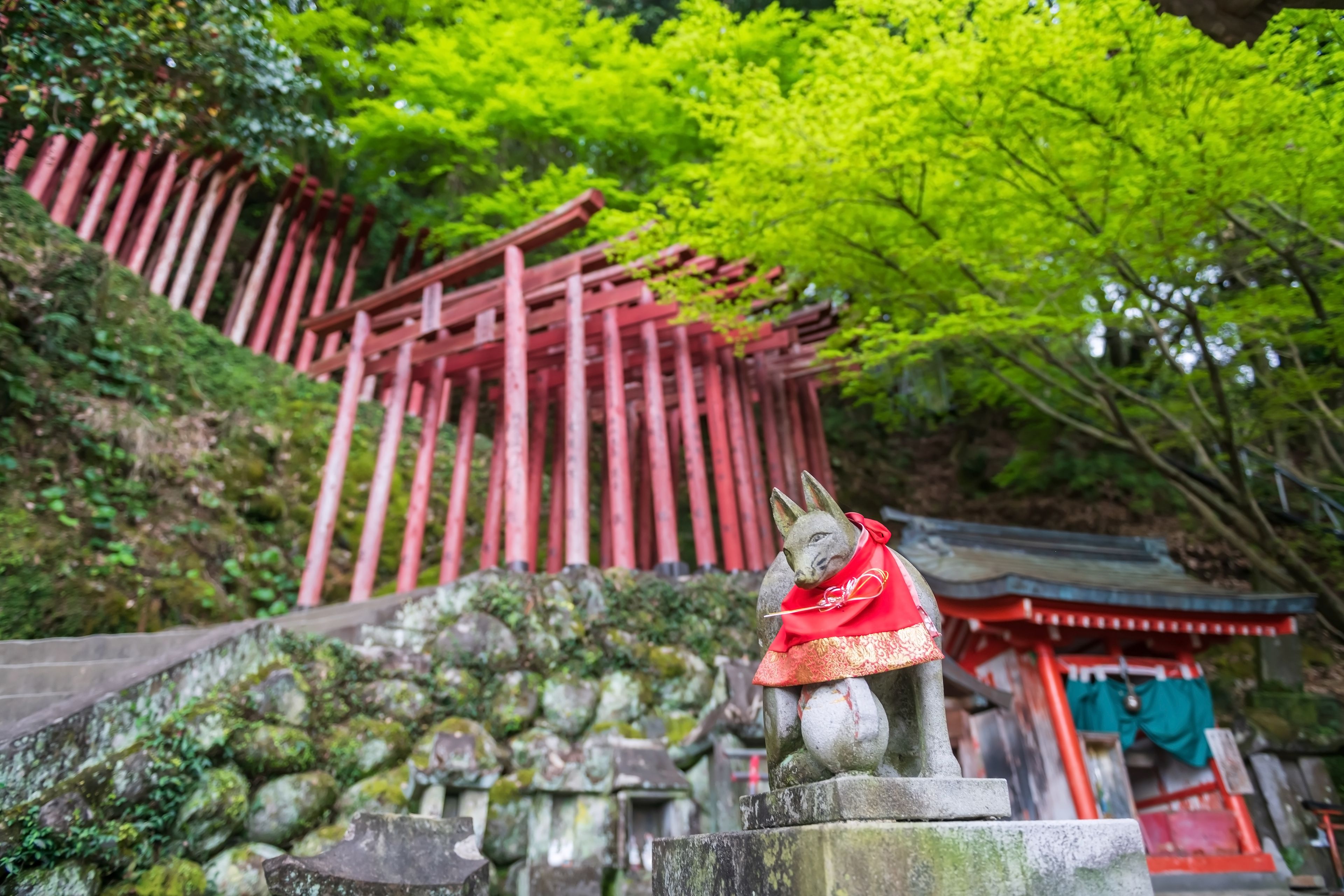 Une statue de pierre représentant un renard vêtu d’un habit rouge, une structure en bois rouge et de luxuriants arbres verts.