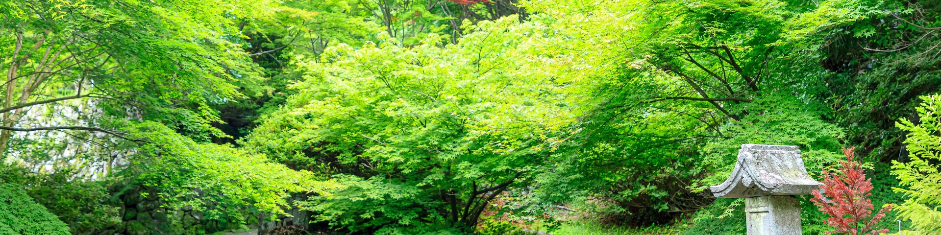夏の両子寺 大分県国東市 Futagoji Temple in summer. Ooita-ken Kunisaki city.