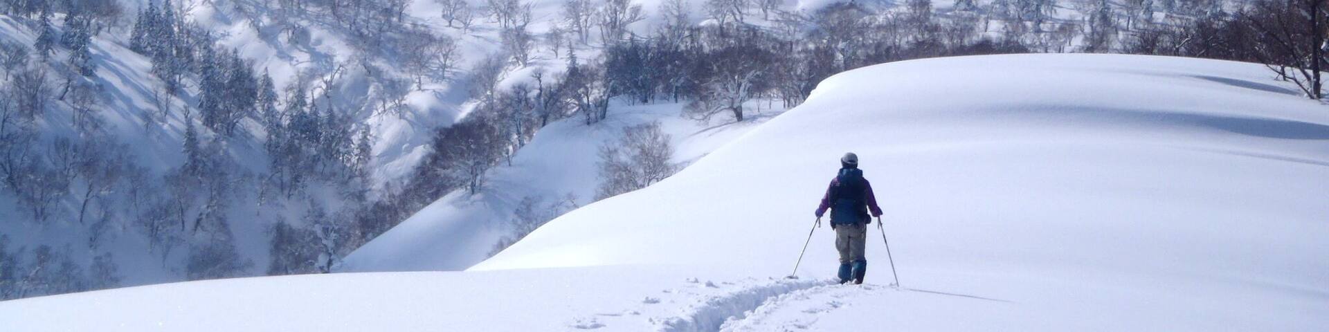 Threepinner goes on Mt.Nobusha