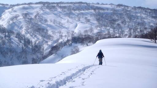 Threepinner goes on Mt.Nobusha