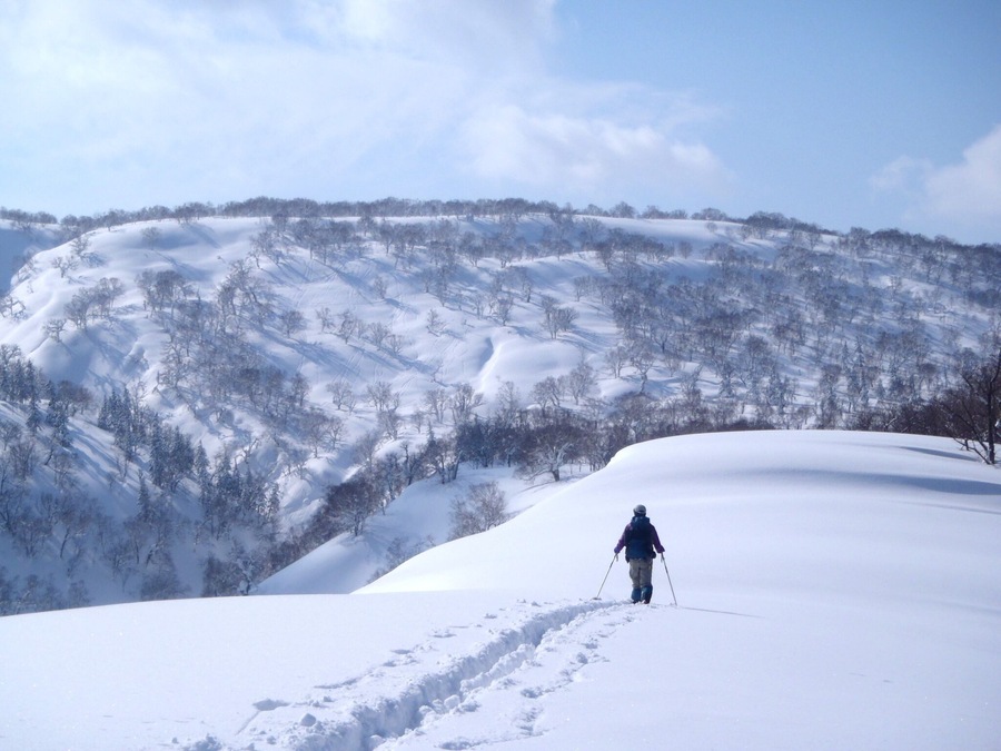 Threepinner goes on Mt.Nobusha
