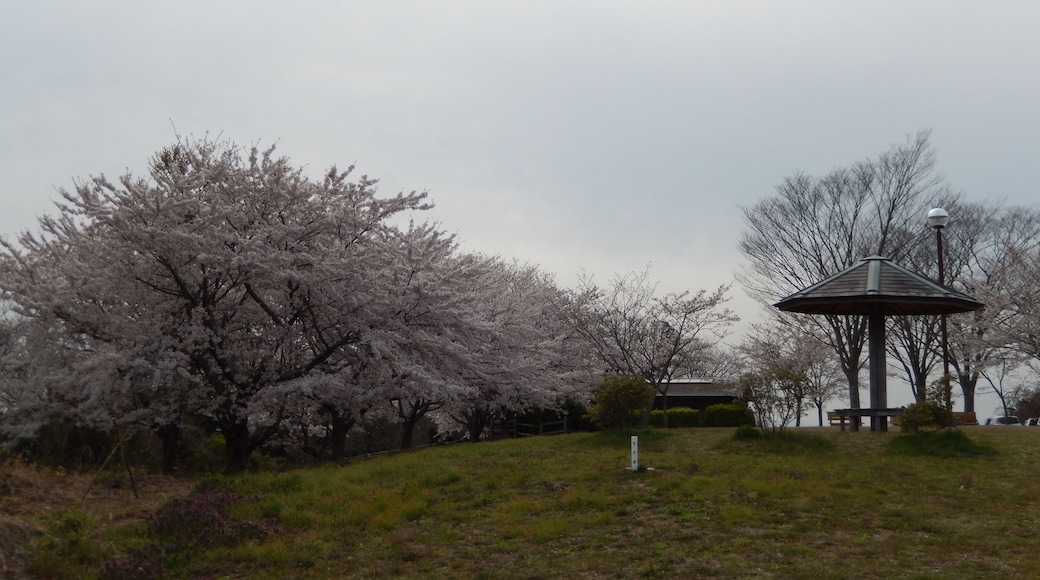 春の多聞山 Tamon-san Park in spring