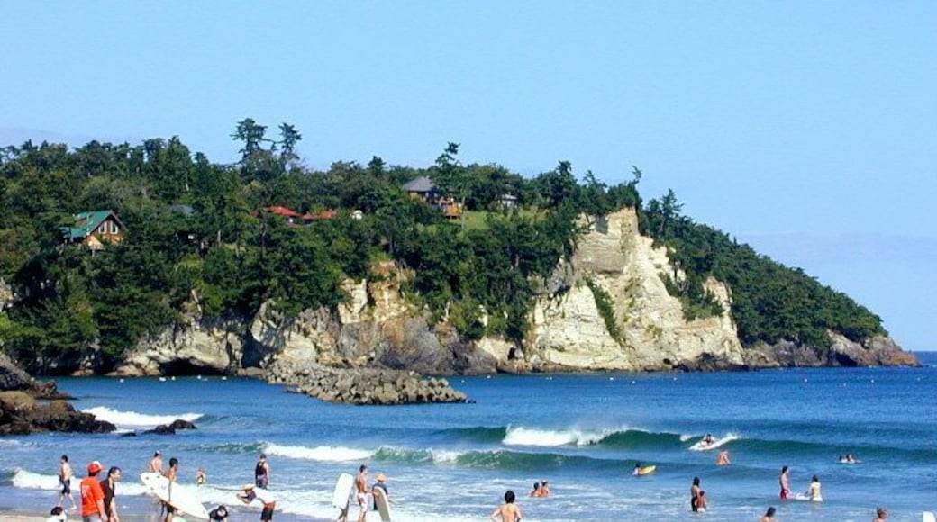 Takayama Summer Resort for foreign missionaries or Takayama International Village is located in Shichigahama, Miyagi, Japan.