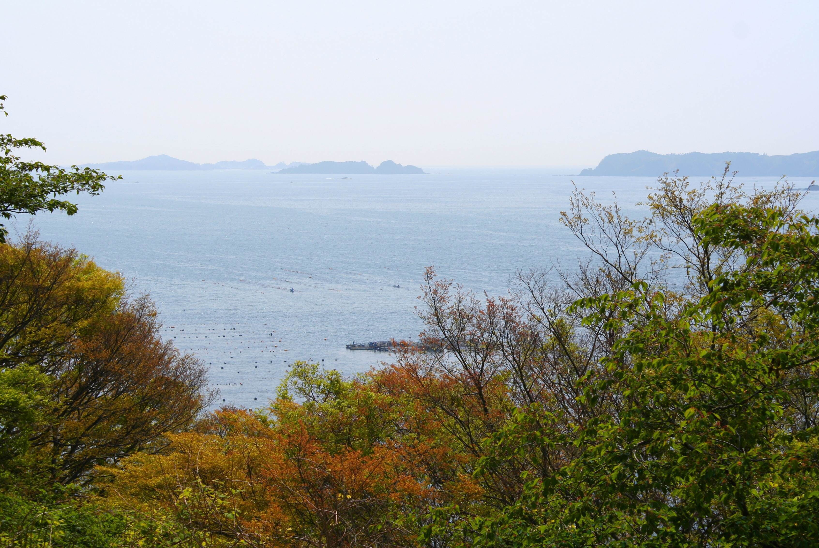 A coastal landscape with a view of the sea, distant islands, and autumn-colored trees.
