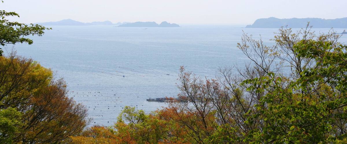 A coastal landscape with a view of the sea, distant islands, and autumn-colored trees.