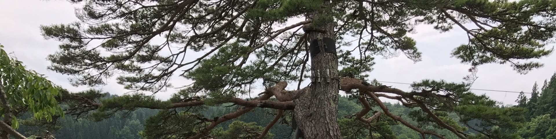 A nice place to relax and do some fishing!