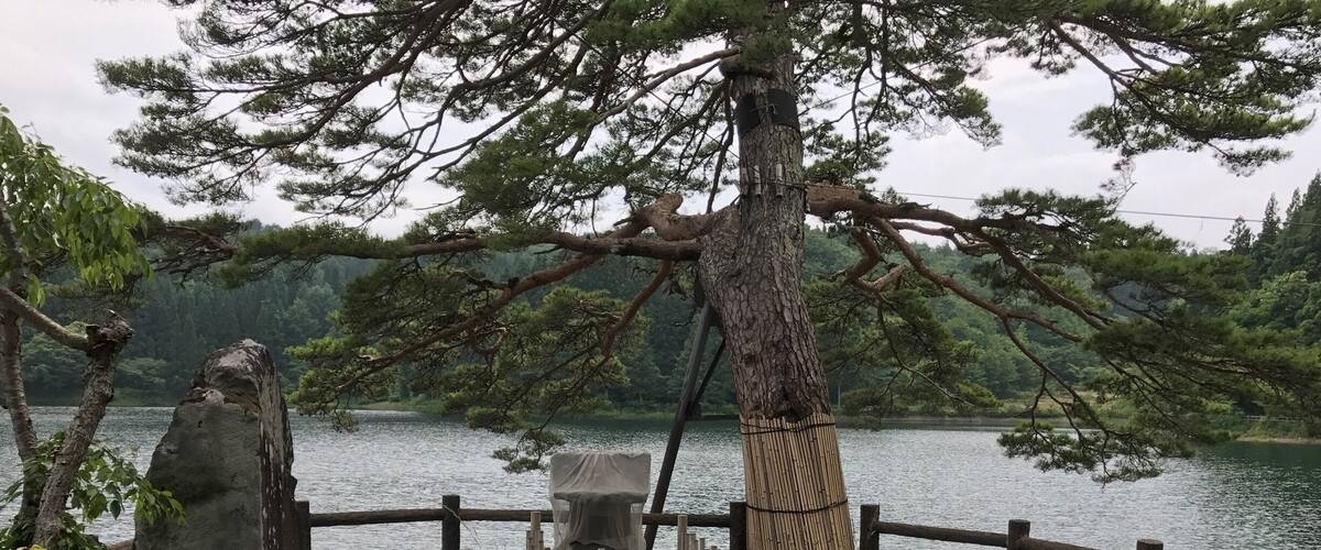A wooden fence with a stone structure and a covered object in a forested area near a body of water.