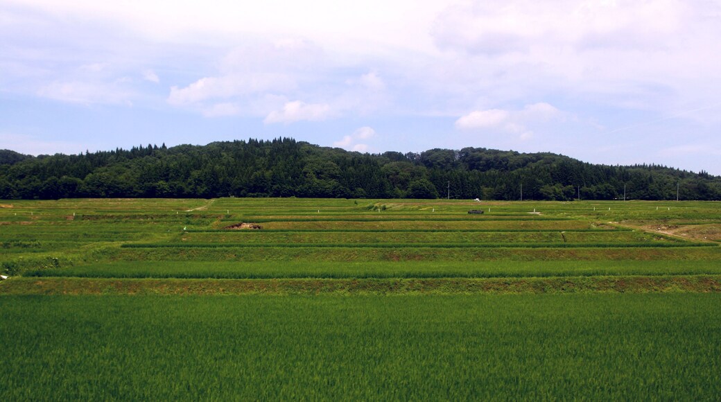南新庄駅付近の風景