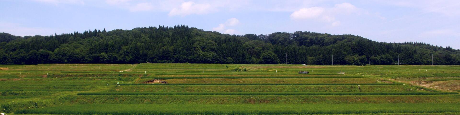 南新庄駅付近の風景