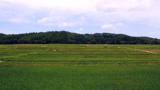 南新庄駅付近の風景