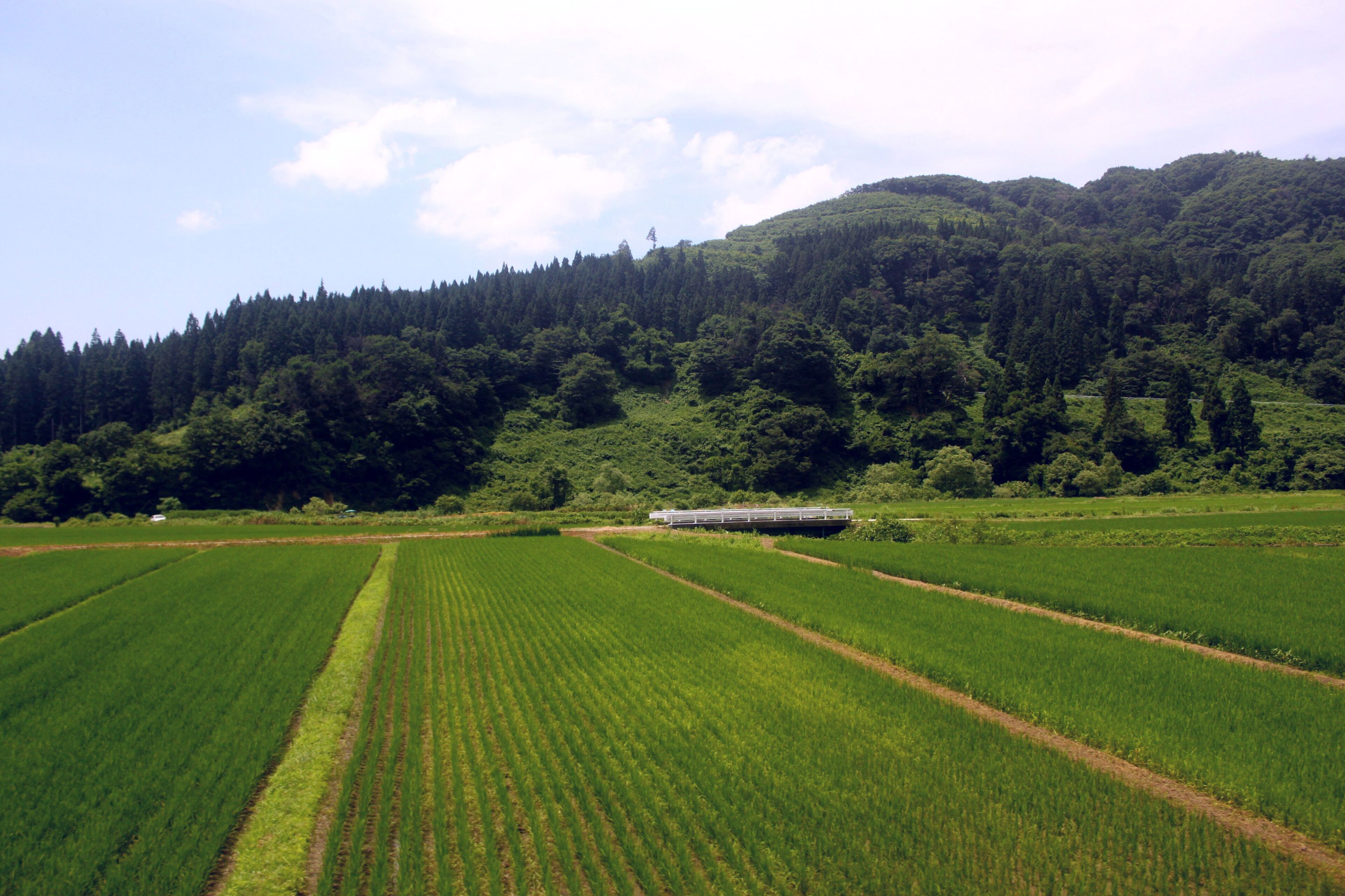 東長沢駅付近の風景
