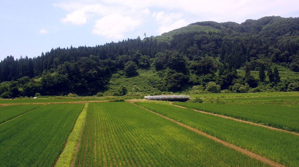 東長沢駅付近の風景
