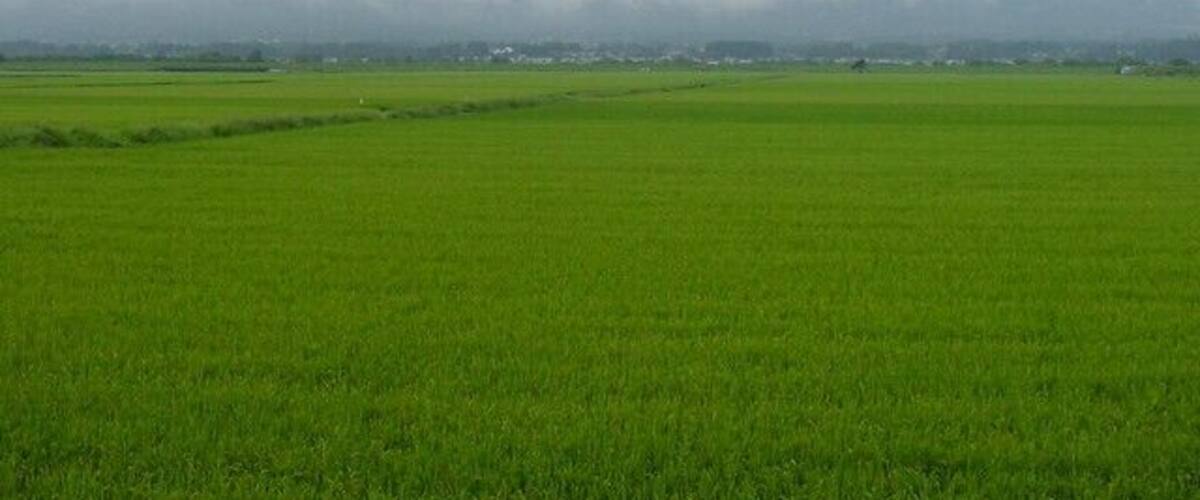 A vast green field with mountains in the background and a cloudy sky.