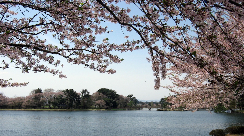 大池公園(矢吹町)