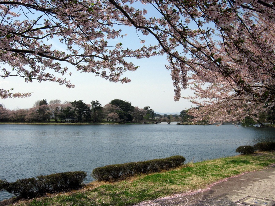 大池公園(矢吹町)