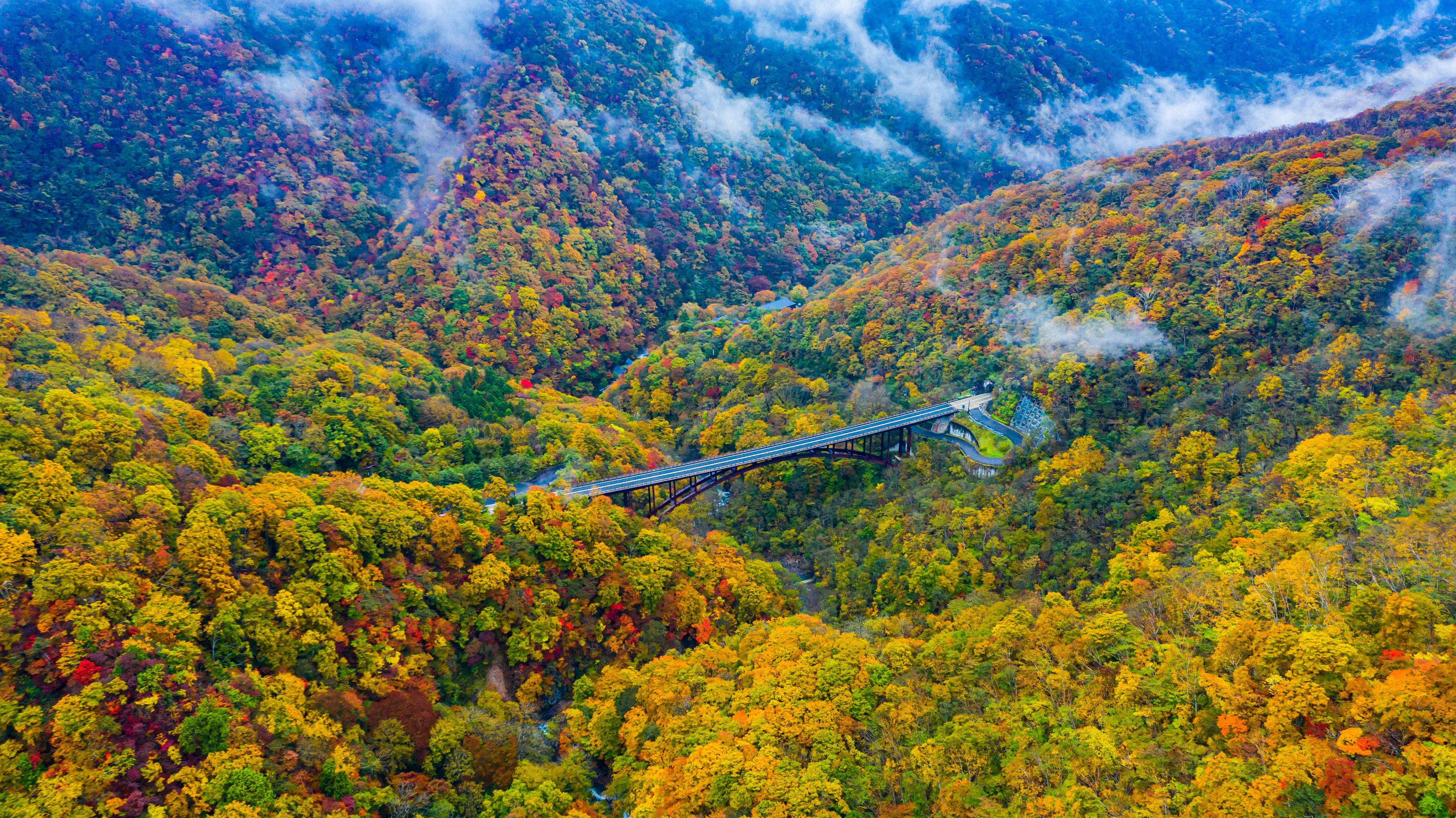 Un pont enjambant une vallée boisée aux couleurs automnales.