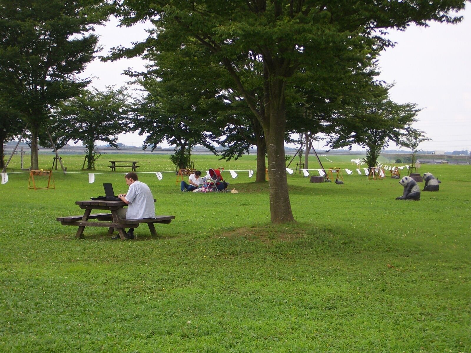 A park with picnic tables, trees, and a grassy field.