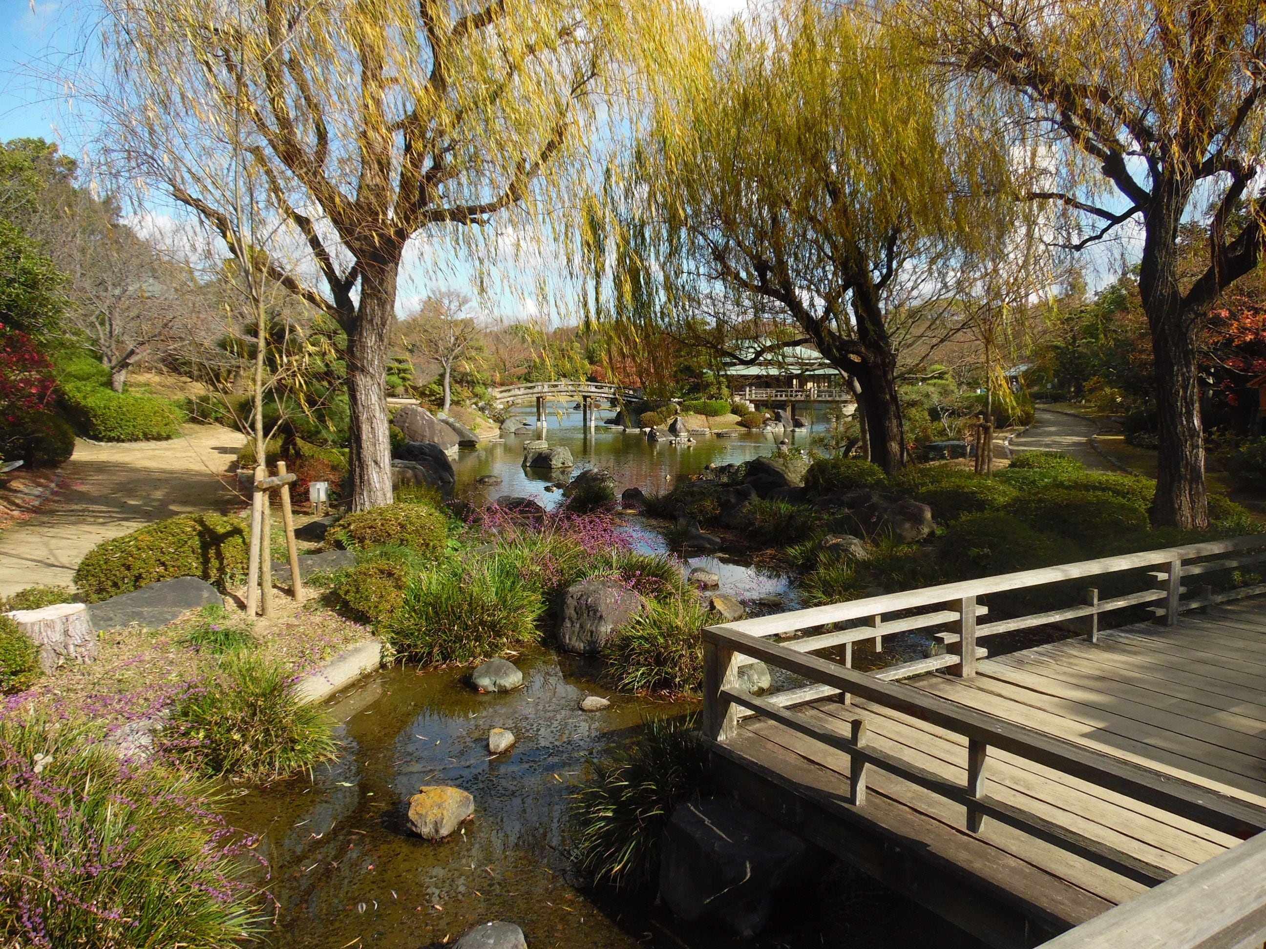 A serene garden with a wooden bridge, a pond, and various trees.