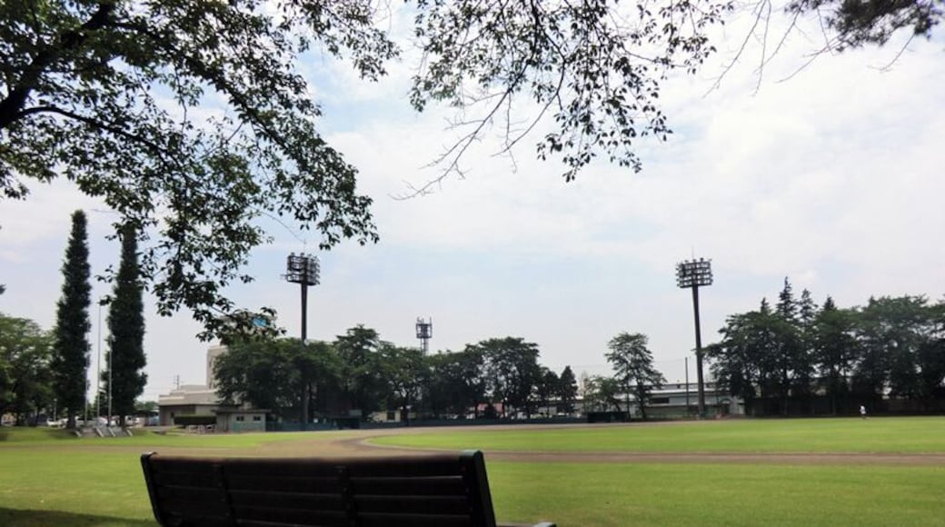 ćŻć٫㱱ć
Źć 2011ćčŽ6æ