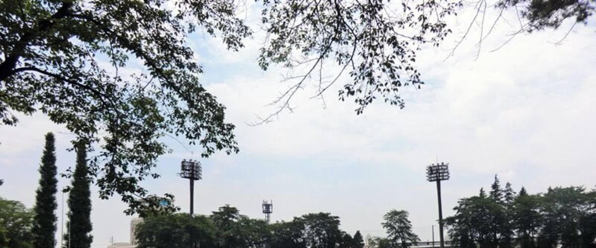 A park with a bench, a baseball field, and trees.