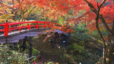 A red bridge over a forest with autumn foliage.