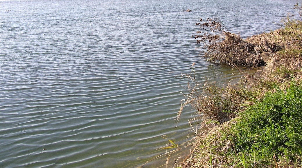 玉村町の本庄市に近い場所