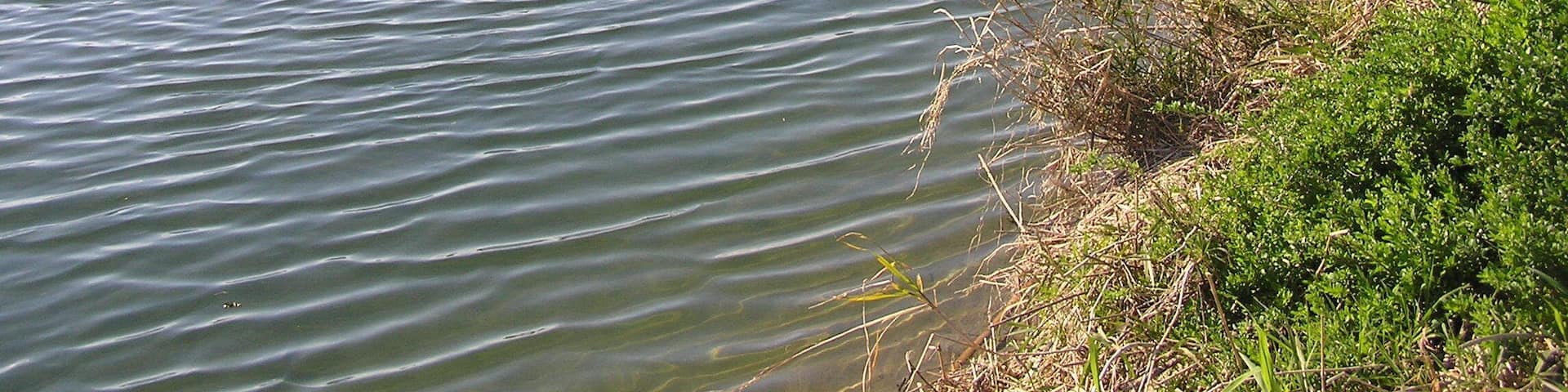 玉村町の本庄市に近い場所