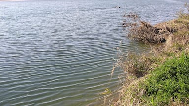 玉村町の本庄市に近い場所