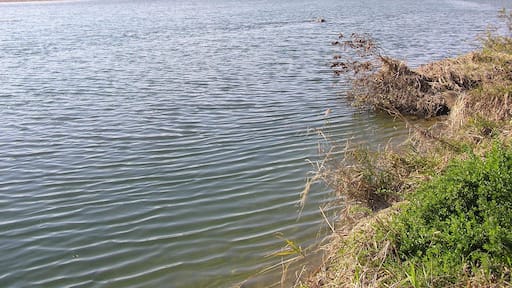 玉村町の本庄市に近い場所
