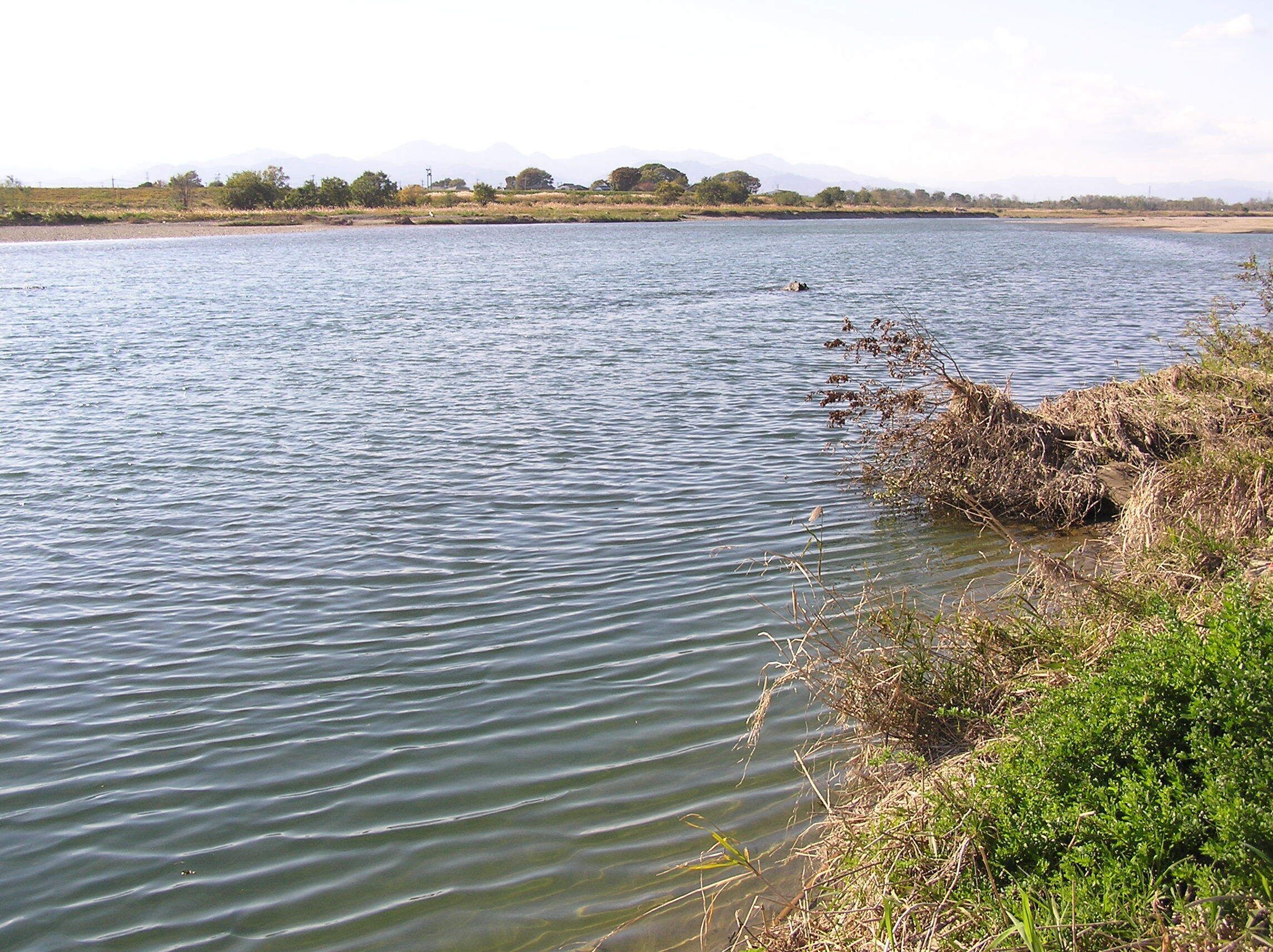 A calm lake with gentle ripples, surrounded by sparse vegetation and distant mountains under a clear sky.