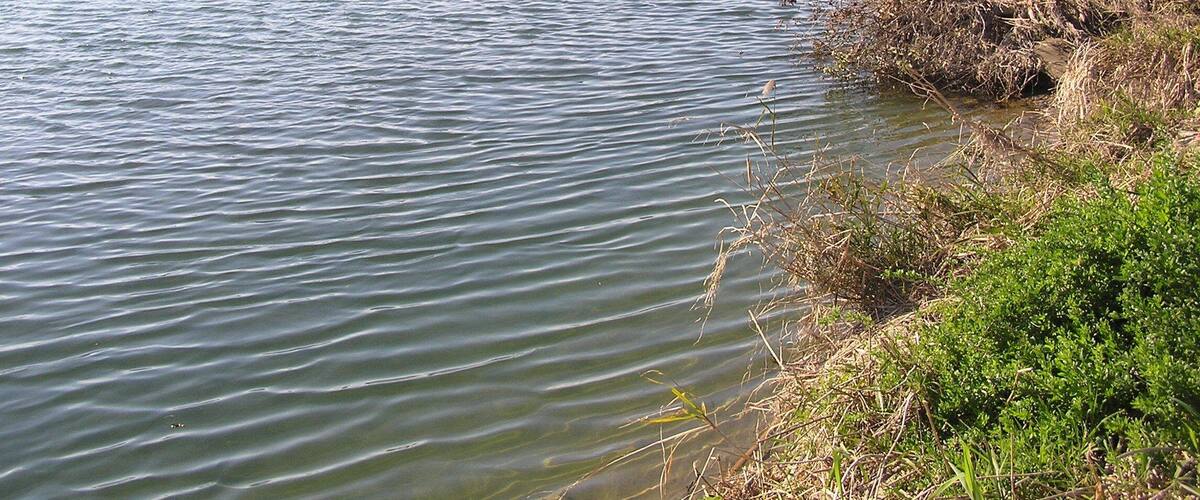 A calm lake with gentle ripples, surrounded by sparse vegetation and distant mountains under a clear sky.