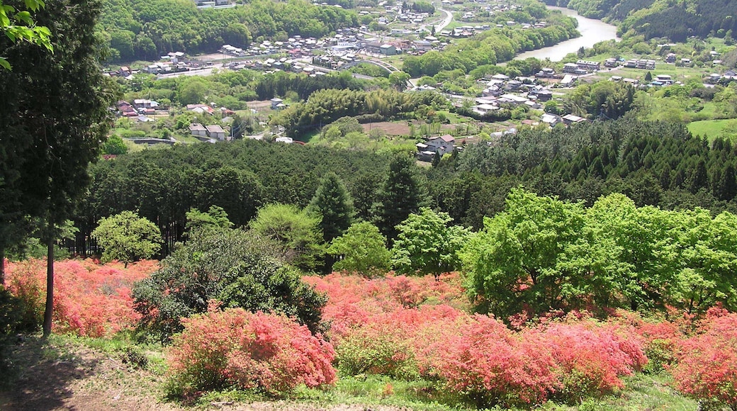 金尾つつじ山公園