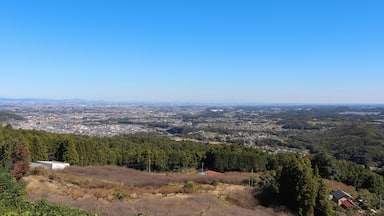 A panoramic view of a city with a dense urban area in the foreground and a vast expanse of greenery and hills in the background.