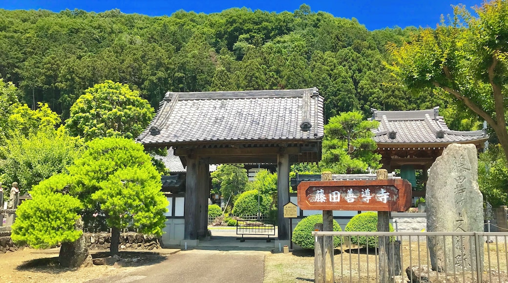 埼玉県大里郡寄居町にある藤田善導寺の山門前から撮影