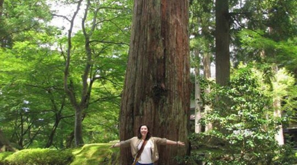 Eiheiji Temple in Fukui Prefecture is a living working Temple. It trains monks from all over Japan. The grounds there are gorgeous in all season and you can see the monks at work. Don't take pictures of them though its forbidden.
The temple doesn't offer tours in English but when you arrive they will have pamphlets for you to read as you walk around in English giving you the history and facts about the temple. They do offer an overnight experience meditation and buddhist life stay but that needs to be booked in advance.