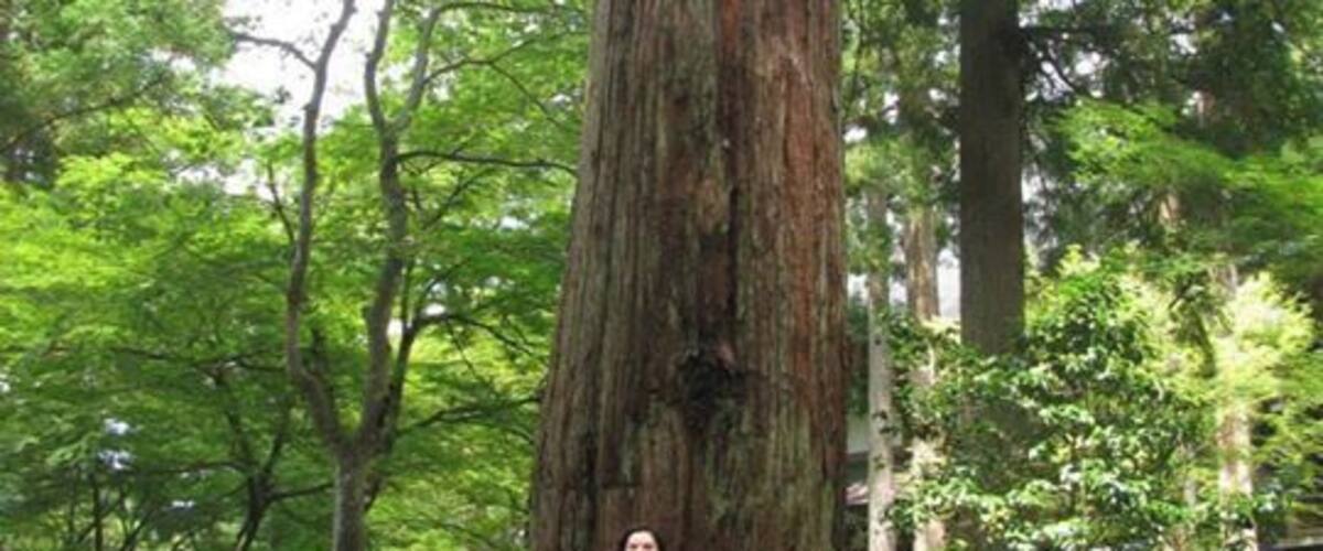 Eiheiji Temple in Fukui Prefecture is a living working Temple. It trains monks from all over Japan. The grounds there are gorgeous in all season and you can see the monks at work. Don't take pictures of them though its forbidden.
The temple doesn't offer tours in English but when you arrive they will have pamphlets for you to read as you walk around in English giving you the history and facts about the temple. They do offer an overnight experience meditation and buddhist life stay but that needs to be booked in advance.