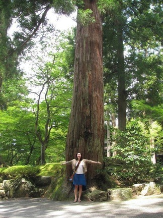Eiheiji Temple in Fukui Prefecture is a living working Temple. It trains monks from all over Japan. The grounds there are gorgeous in all season and you can see the monks at work. Don't take pictures of them though its forbidden.
The temple doesn't offer tours in English but when you arrive they will have pamphlets for you to read as you walk around in English giving you the history and facts about the temple. They do offer an overnight experience meditation and buddhist life stay but that needs to be booked in advance.