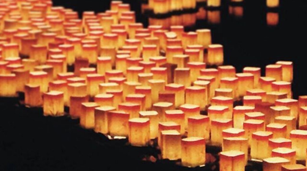 Eiheiji lantern festival at night. This festival happens the third weekend of August every year. #Eiheiji #lantern #福井 #日本 #Fukui #Japan #festival